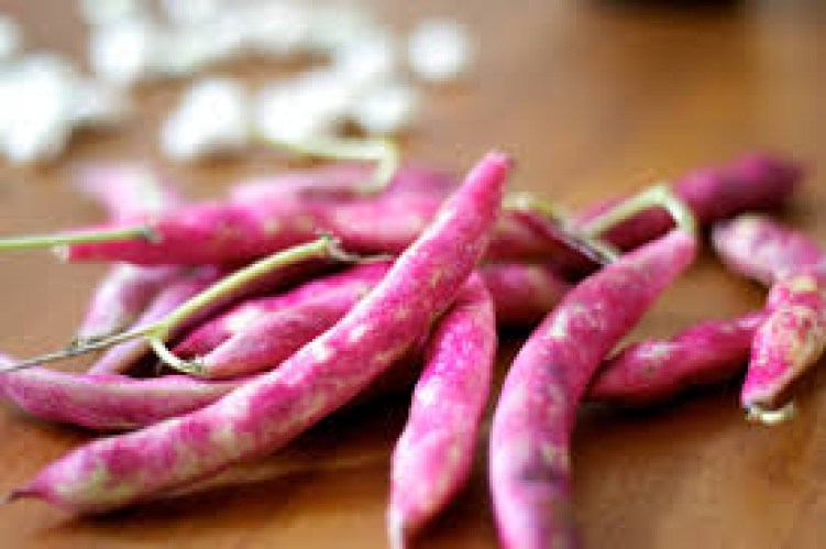 POROTOS GRANADOS